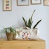 Bolsa Ariadna